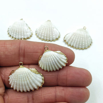Small White Scallop Seashell - A Girls Gems